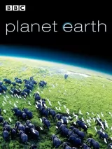 Превью постера #222814 к фильму "BBC: Планета Земля" (2006)