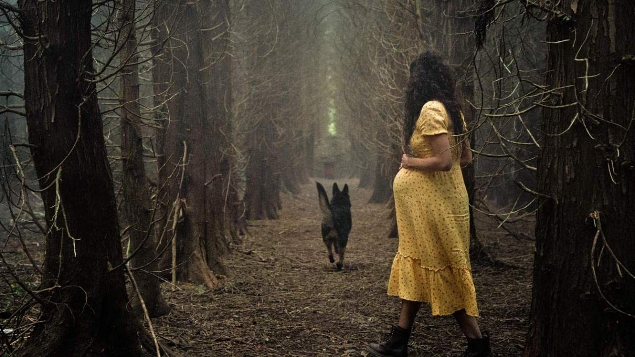 Фильм Гремлины: Хранители леса (2022). Кадр N211879