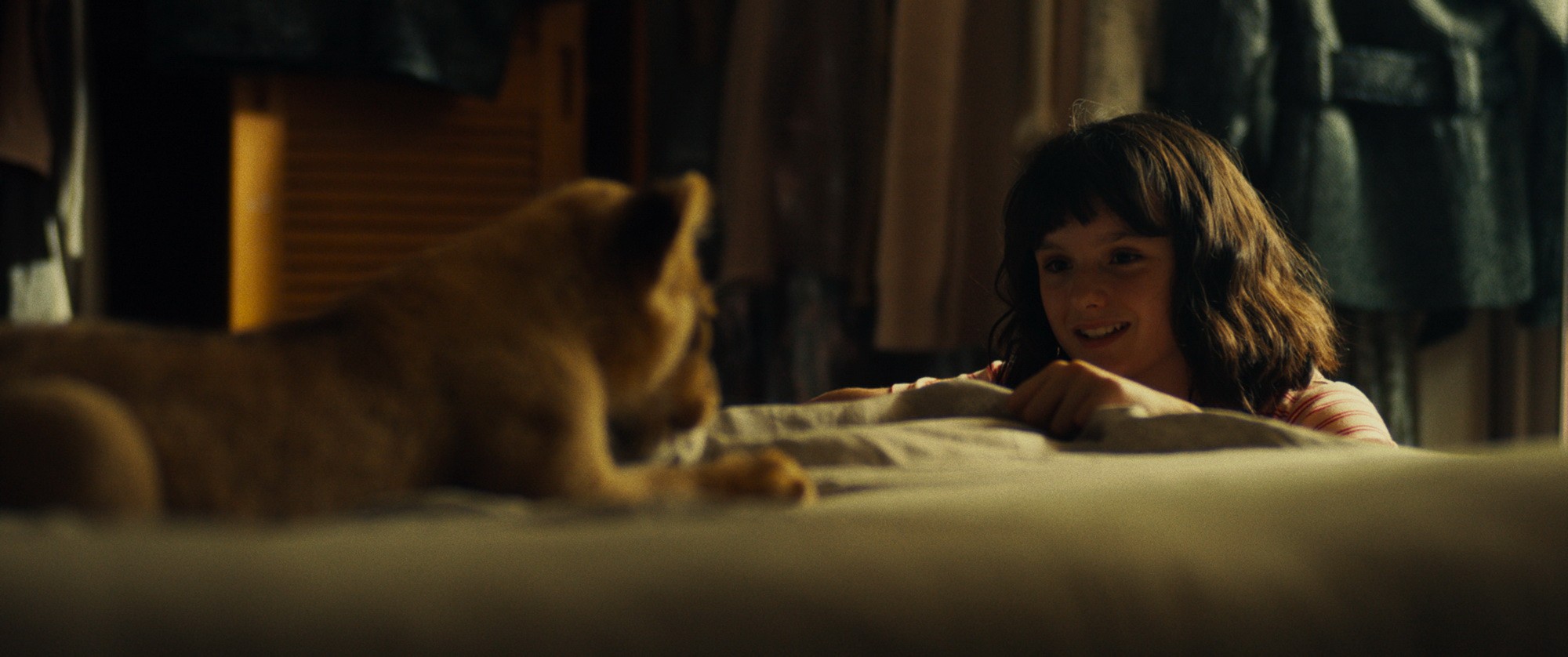 Фильм Король-львенок (2022). Кадр N214576