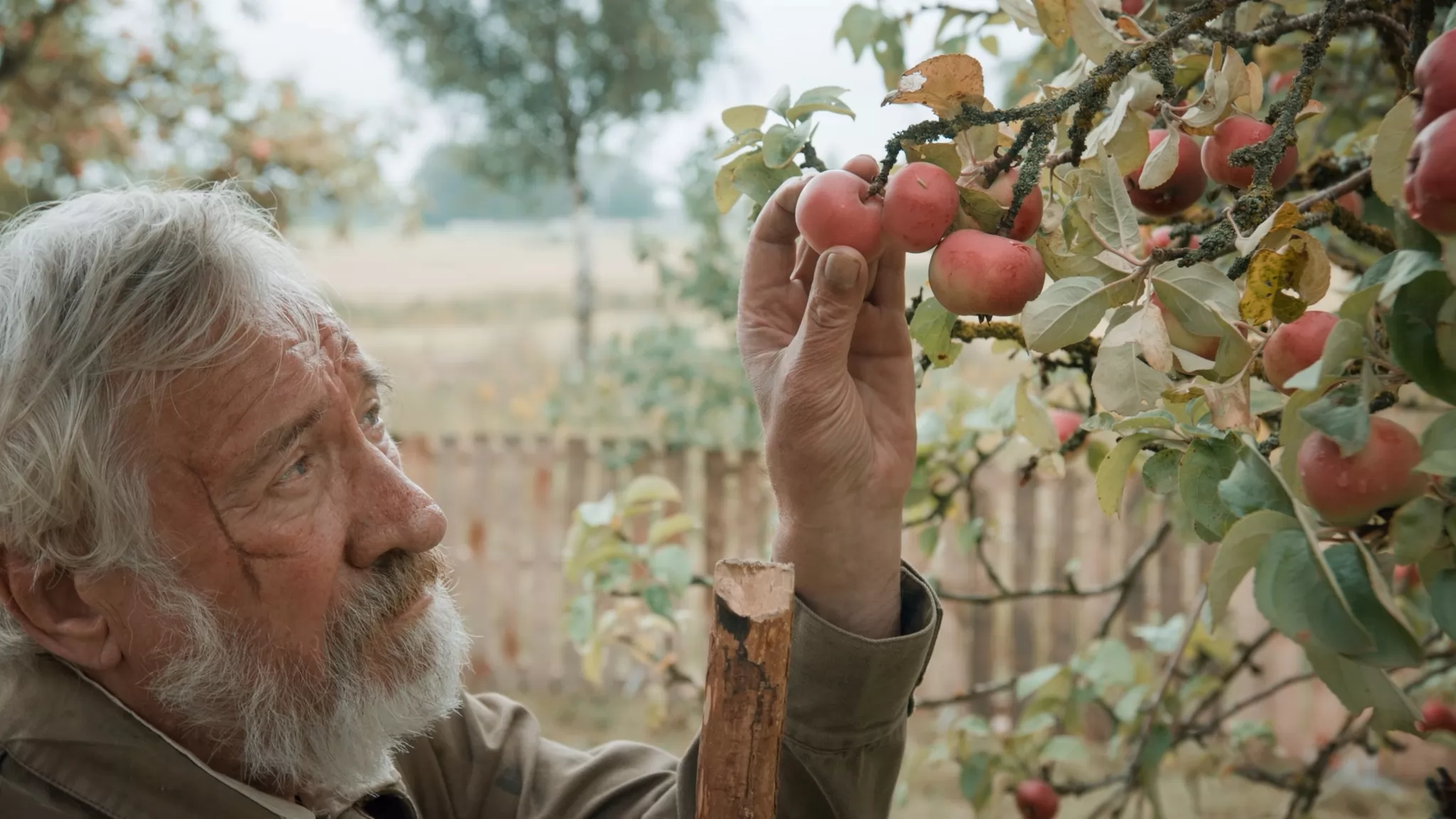 Фильм Сила добра (2023). Кадр N223066
