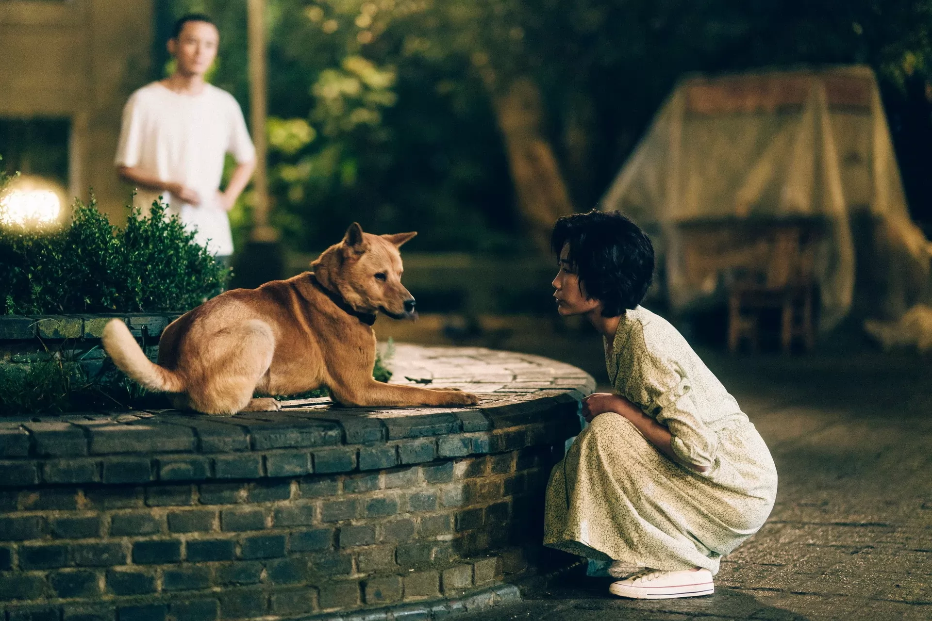 Фильм Мой Хатико (2023). Кадр N224114