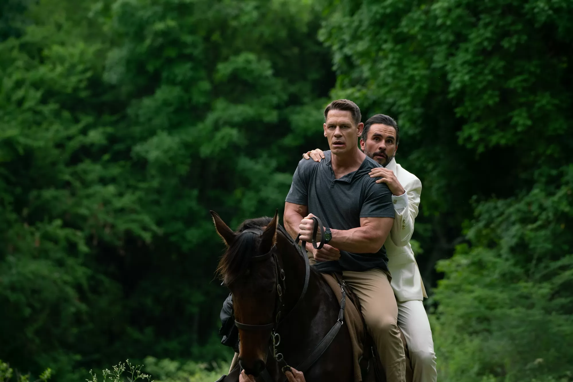 Фильм Телохранитель на фрилансе (2023). Кадр N224142