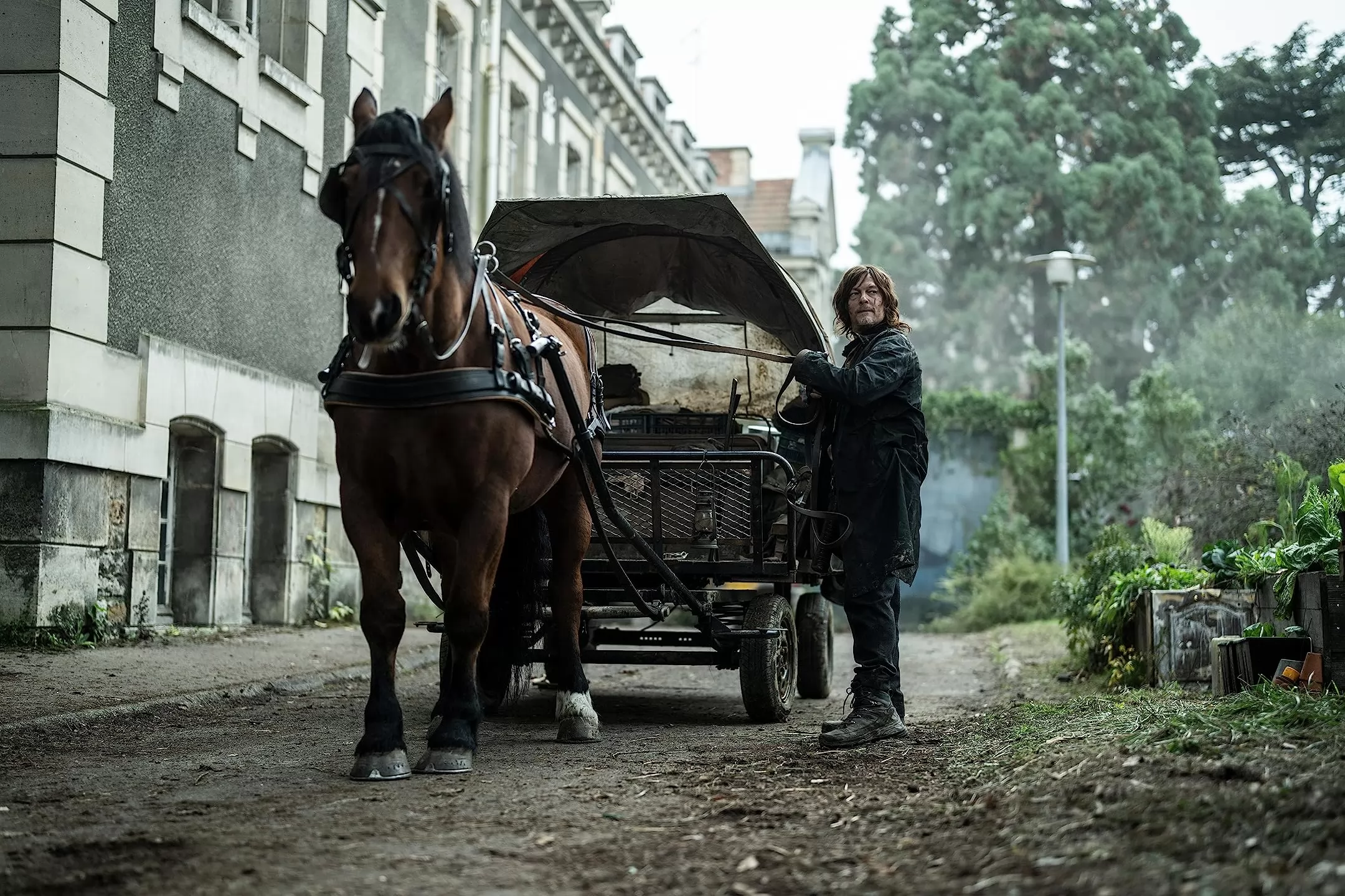 Сериал Ходячие мертвецы: Дэрил Диксон (2023-2025). Кадр N224614