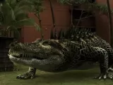 Превью кадра #221609 к фильму "Динокрок против динозавра" (2010)