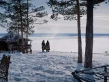 Превью кадра #223932 из фильма "Чужая"  (2023)