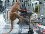 Превью кадра #227934 из фильма "Лунный человек"  (2022)