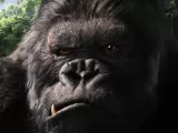 Превью кадра #228032 из фильма "Кинг Конг"  (2005)