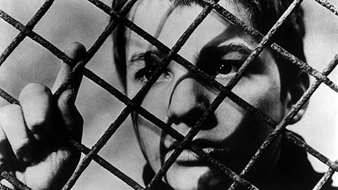 Кадр к фильму Четыреста ударов / The 400 Blows