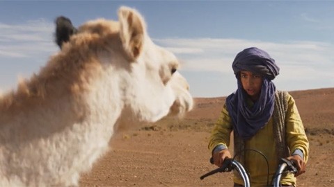Кадр к фильму Принц пустыни / Zodi & Tehu, freres du desert