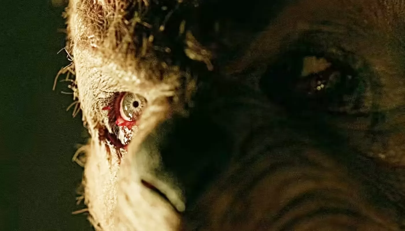Финал фильма ужасов «Винни-Пух: Кровь и мед 2» объяснили