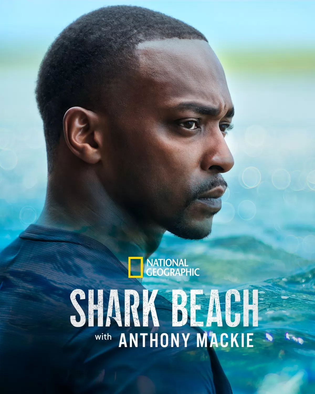 Акулий пляж с Энтони Маки / Shark Beach with Anthony Mackie (2024) отзывы. Рецензии. Новости кино. Актеры фильма Акулий пляж с Энтони Маки. Отзывы о фильме Акулий пляж с Энтони Маки