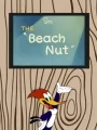 Озорник на пляже
