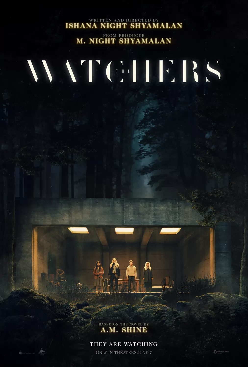 Наблюдатели / The Watchers (2024) отзывы. Рецензии. Новости кино. Актеры фильма Наблюдатели. Отзывы о фильме Наблюдатели