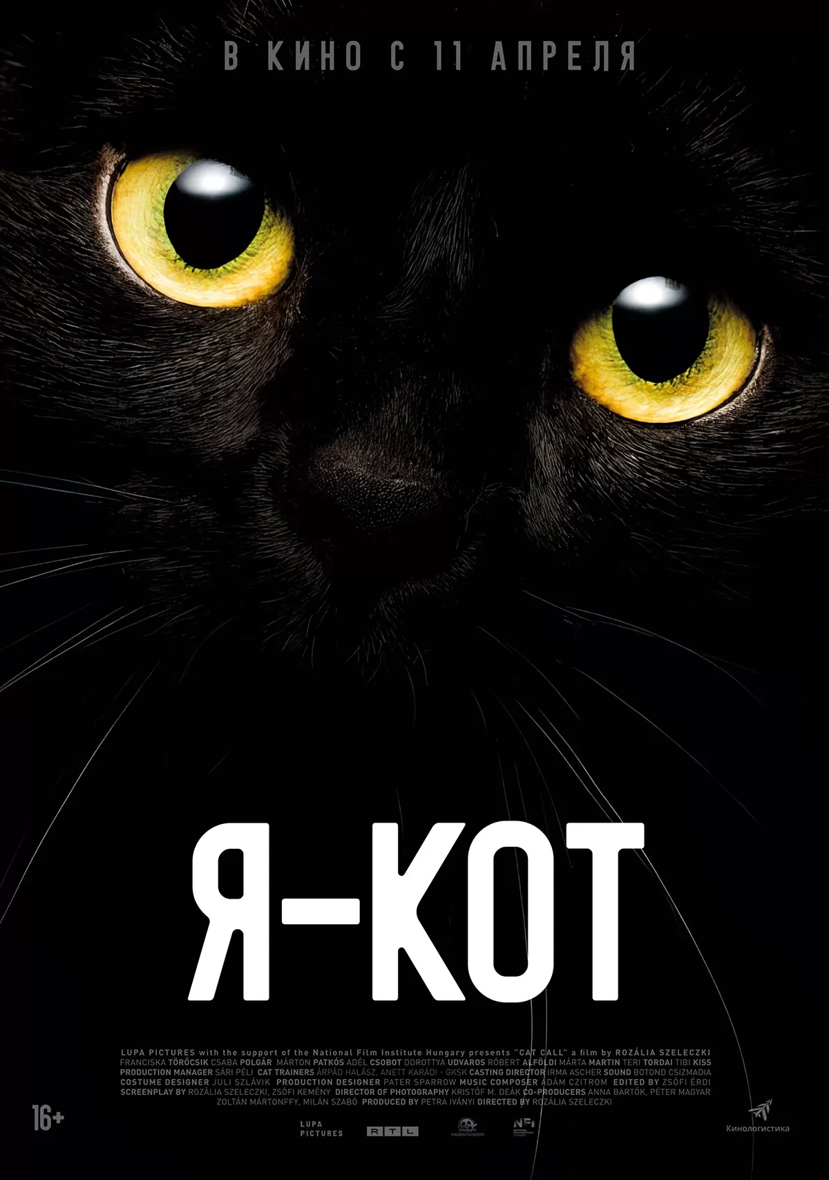 Я - кот: постер N233877