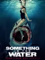 Постер к фильму "Что-то в воде"