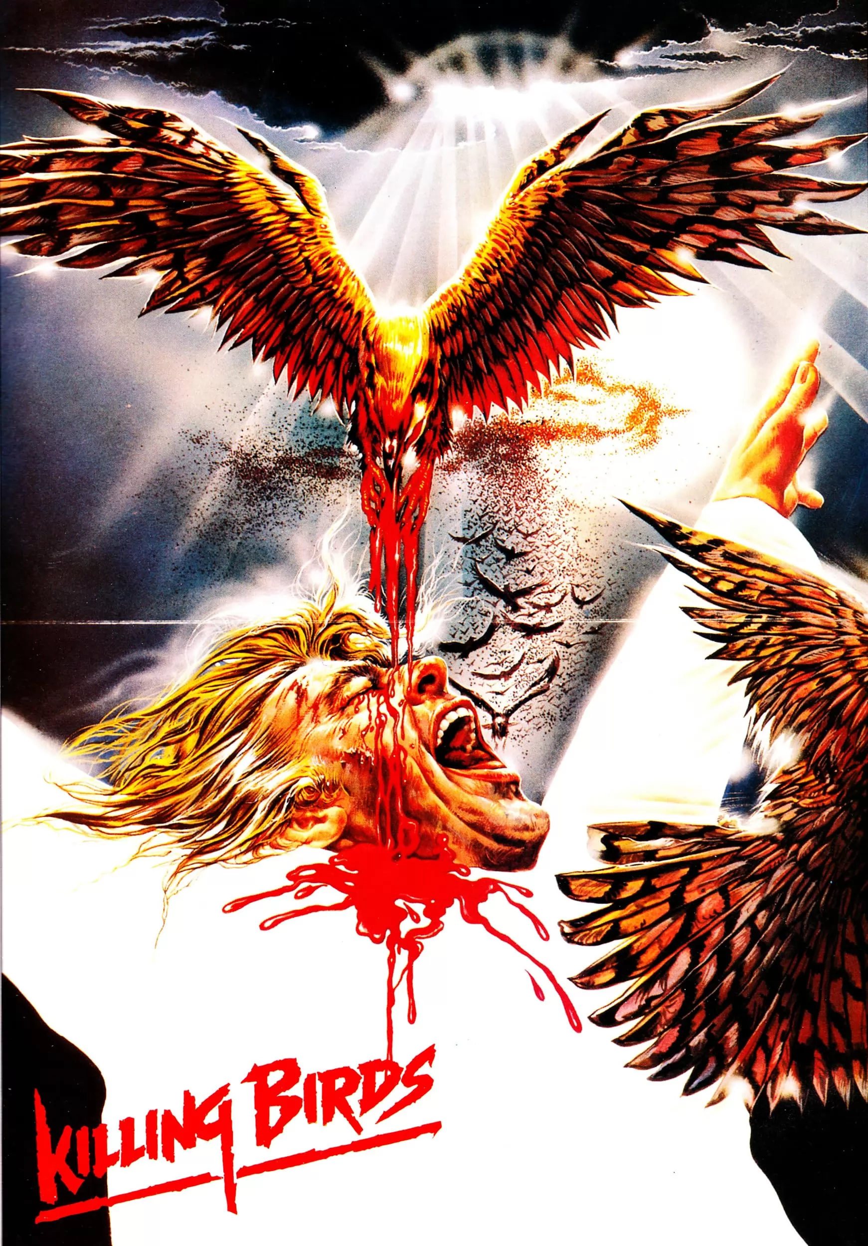 Зомби 5: Смертоносные птицы: постер N235872
