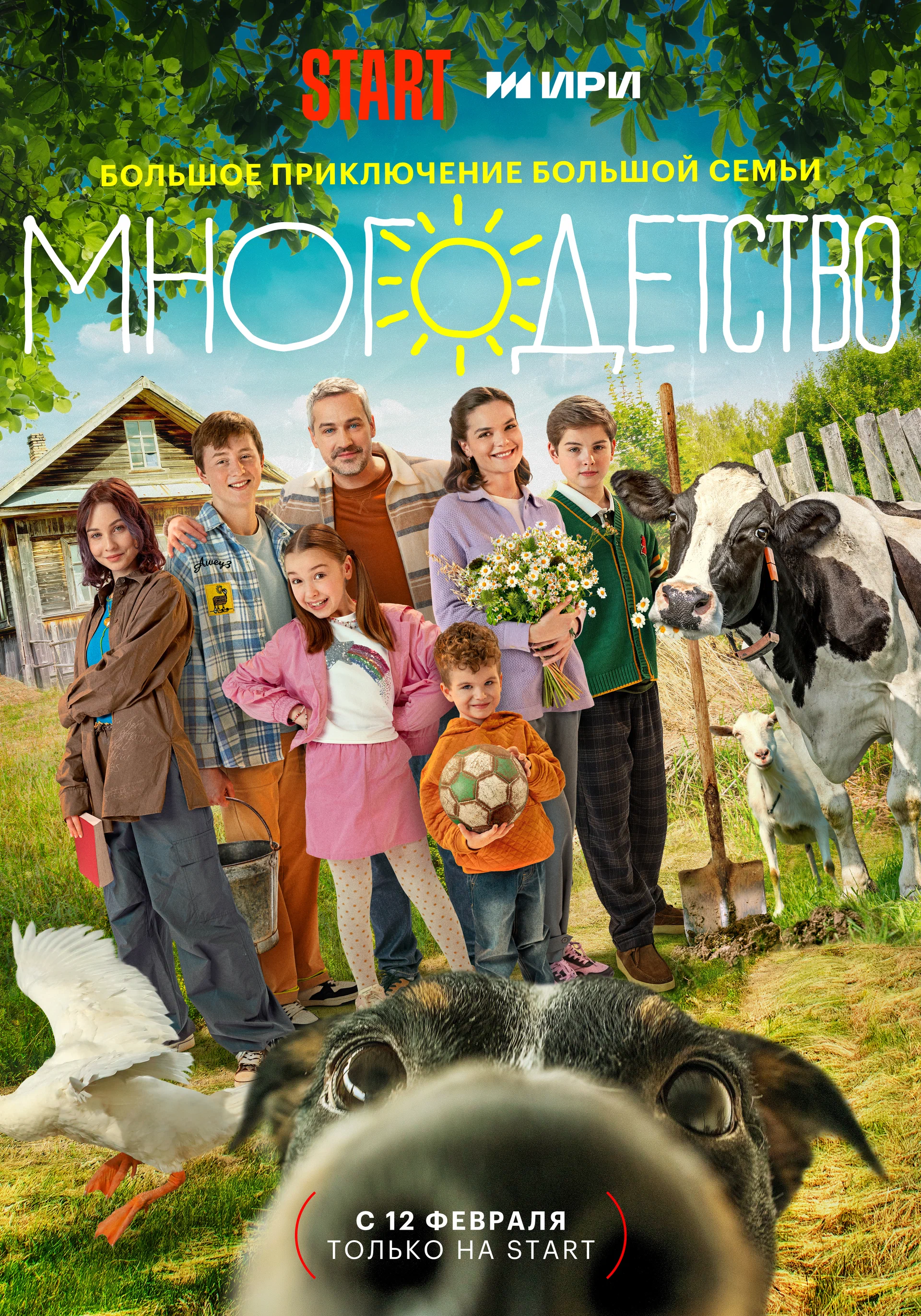 Многодетство: постер N235886