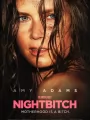 Постер к фильму "Ночная сучка"