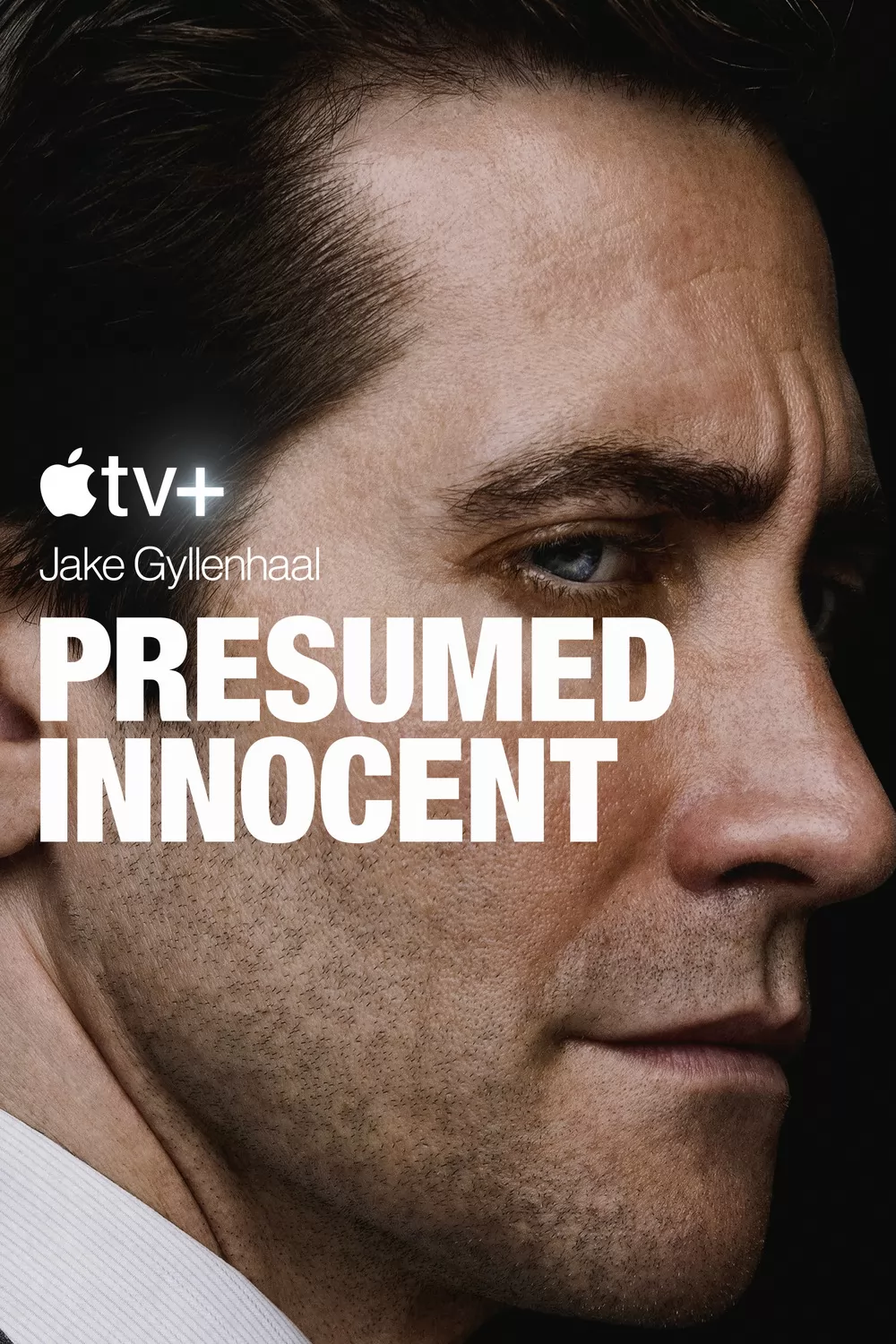 Презумпция невиновности / Presumed Innocent