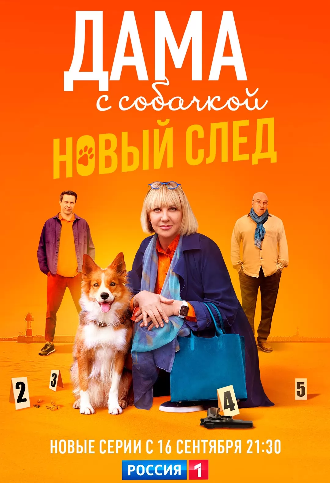 Дама с собачкой: постер N244882