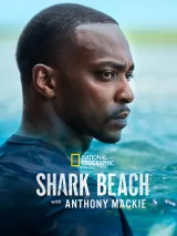 Превью постера #232078 к фильму "Акулий пляж с Энтони Маки" (2024)