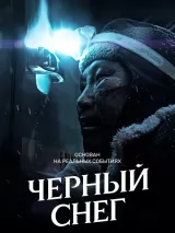 Превью постера #233525 к фильму "Черный снег" (2021)