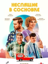 Превью постера #234277 к сериалу "Неспящие в Сосновке"  (2024)