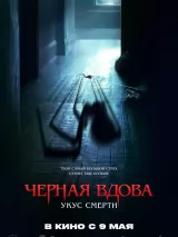 Превью постера #235400 к фильму "Черная вдова. Укус смерти" (2024)
