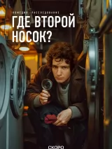Превью постера #241282 к фильму "Где второй носок?" (2025)