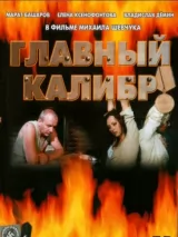 Превью постера #243348 к фильму "Главный калибр" (2006)