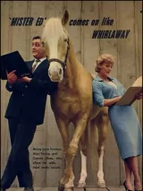 Превью постера #246695 к фильму "Мистер Эд" (1961)