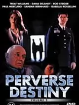 Превью постера #249072 к фильму "Техасец"  (1994)