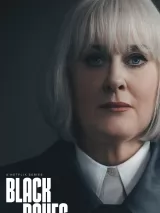 Превью постера #251732 к сериалу "Черные голуби"  (2024)