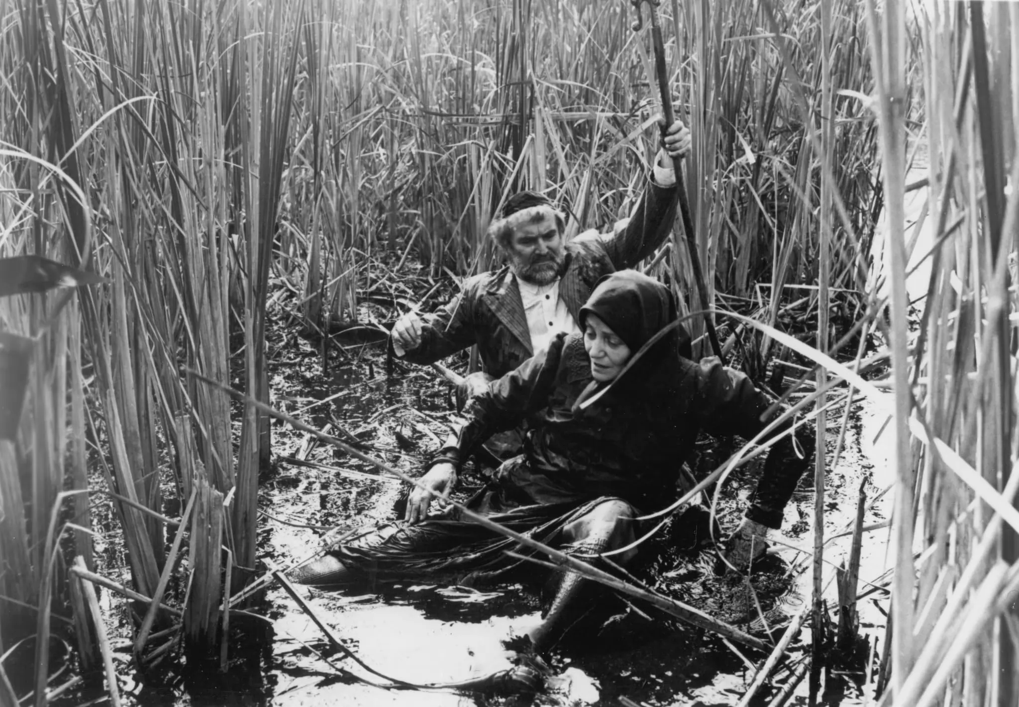Фильм Забастовка (1983). Кадр N230825