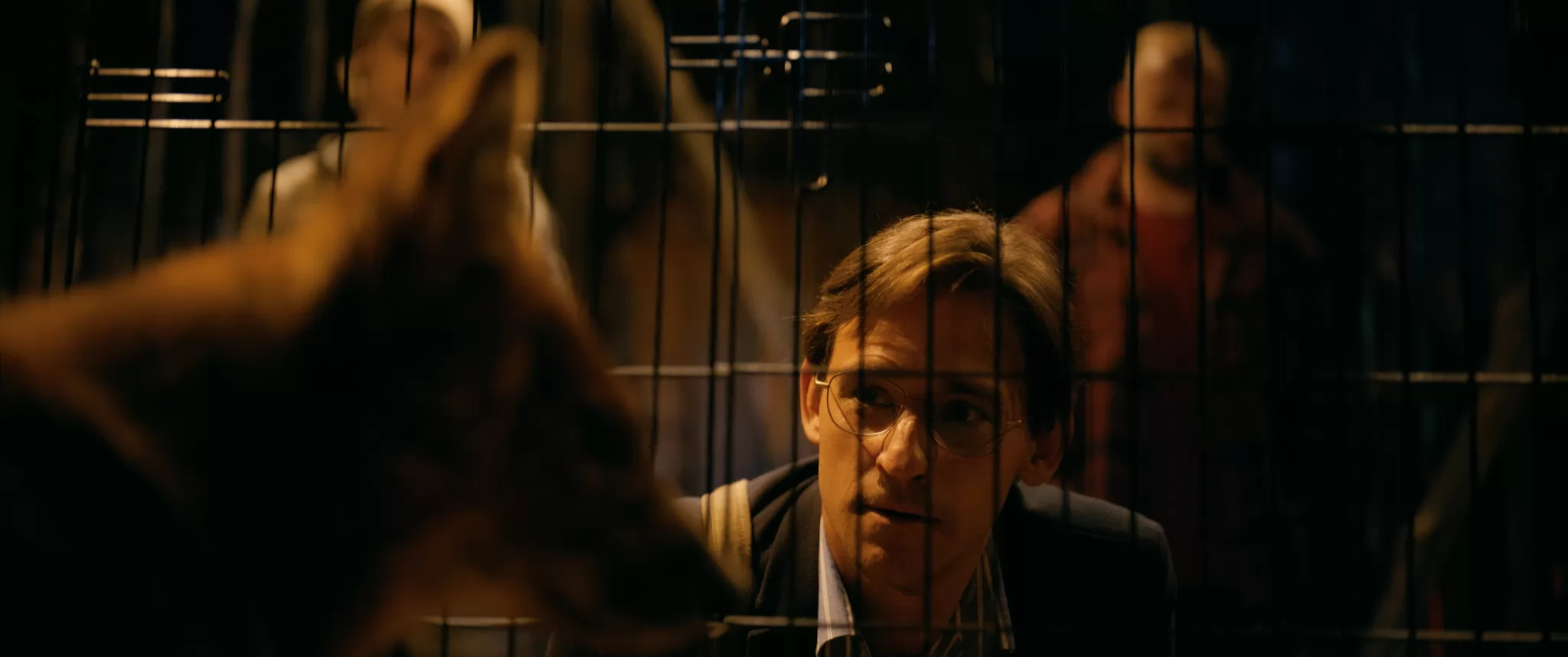 Фильм Мой дикий друг (2024). Кадр N235720