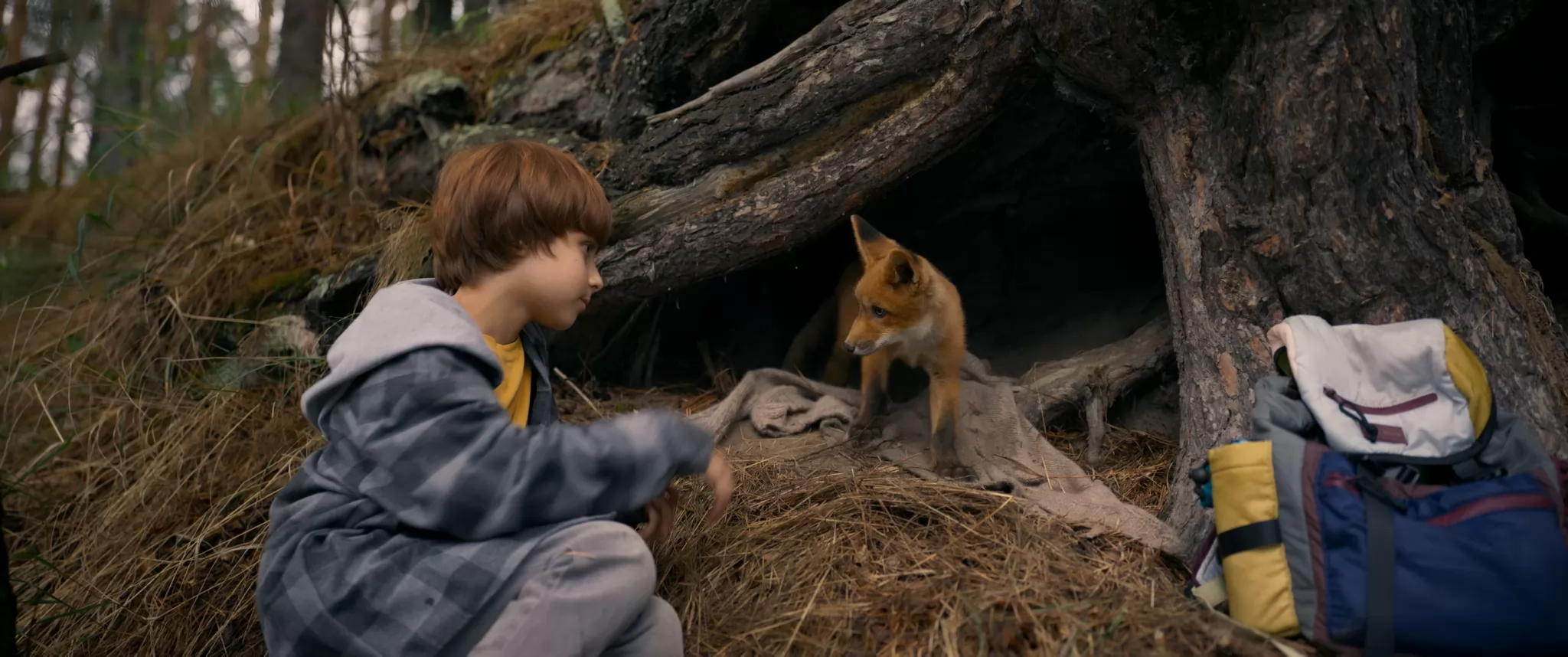 Фильм Мой дикий друг (2024). Кадр N235738