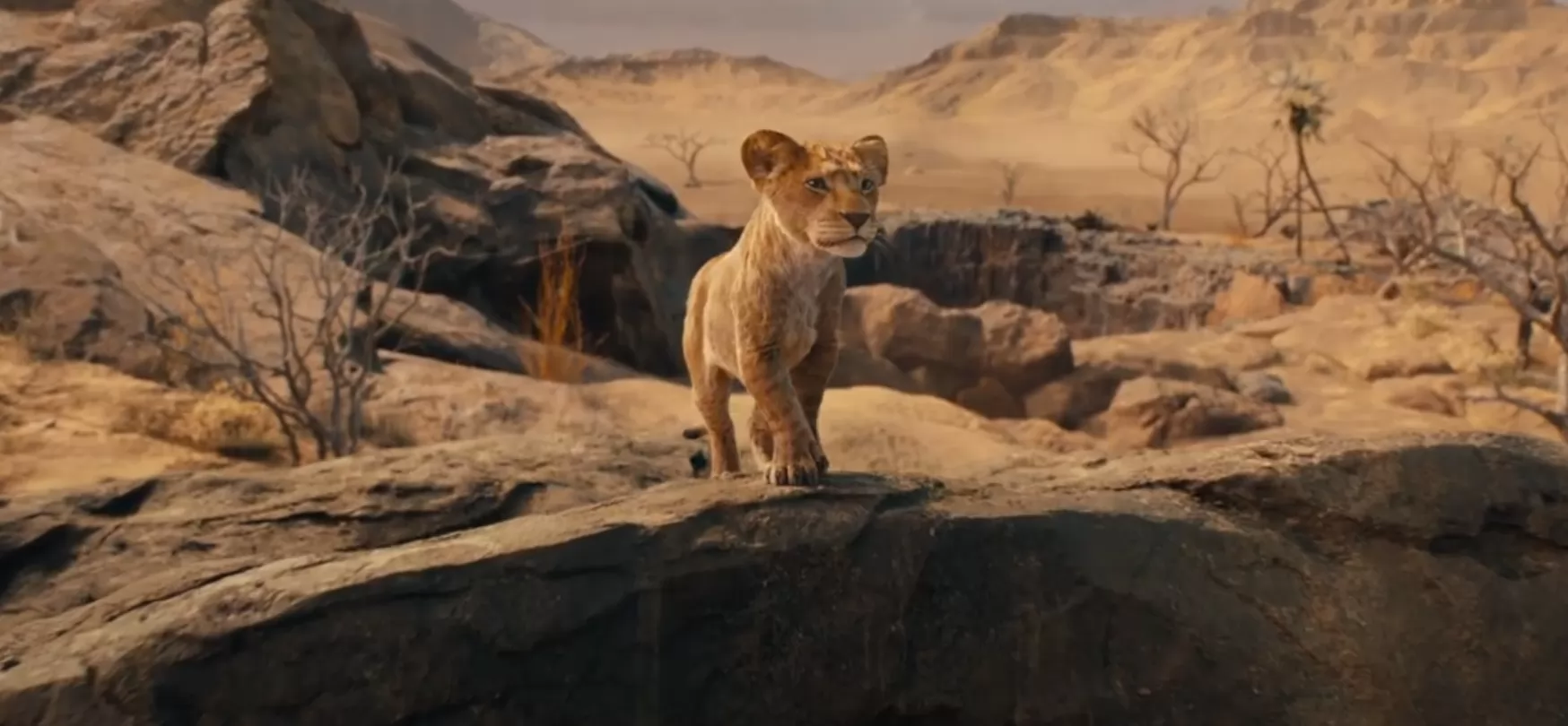 Фильм Муфаса: Король лев (2024). Кадр N235921
