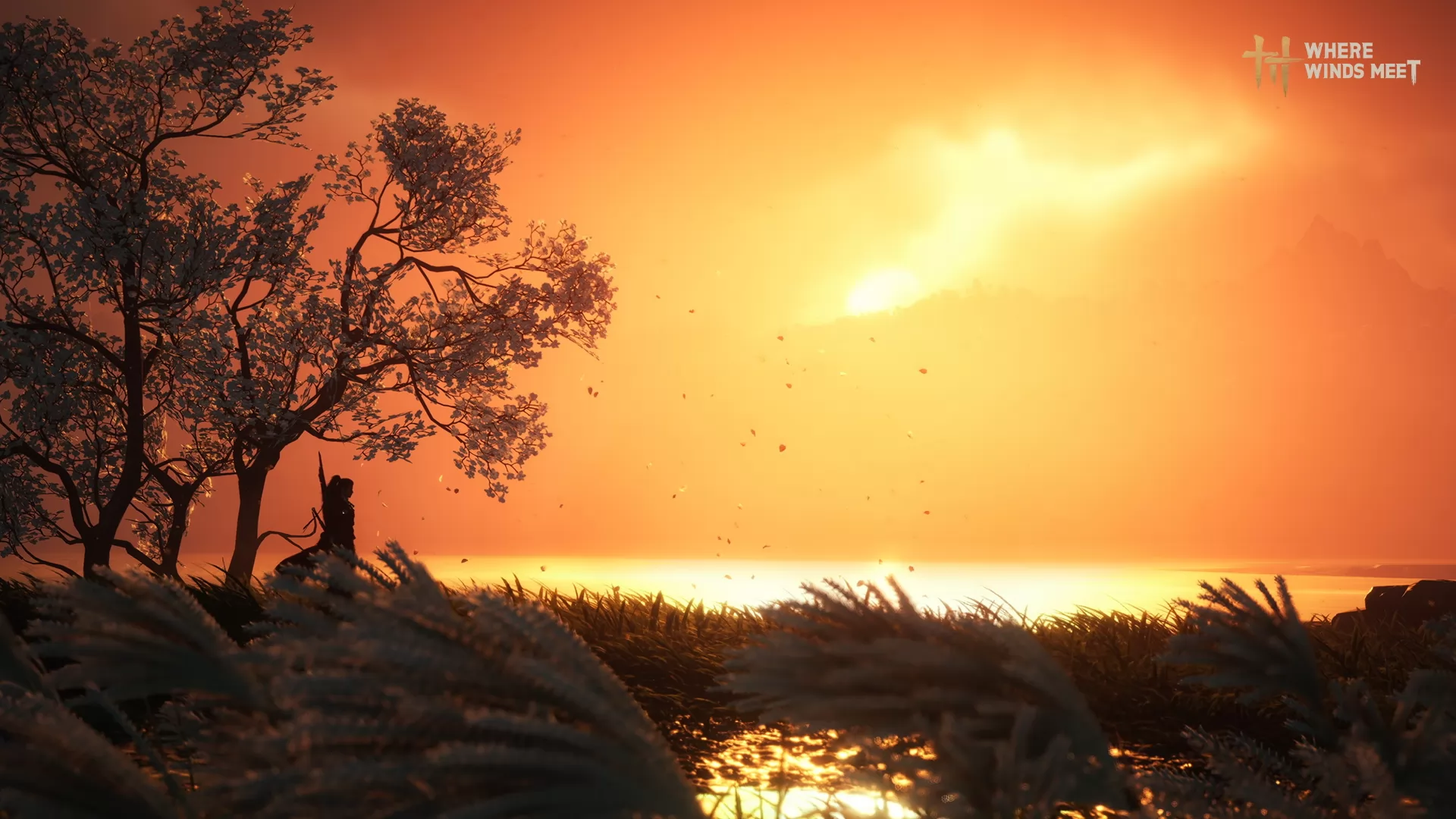 Игра Where Winds Meet (2025). Скриншот N238602