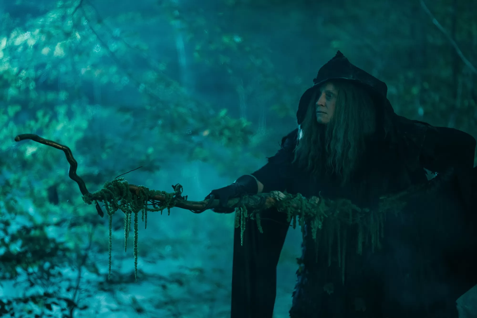 Фильм Робин Гуд и хранители леса (2024). Кадр N245684