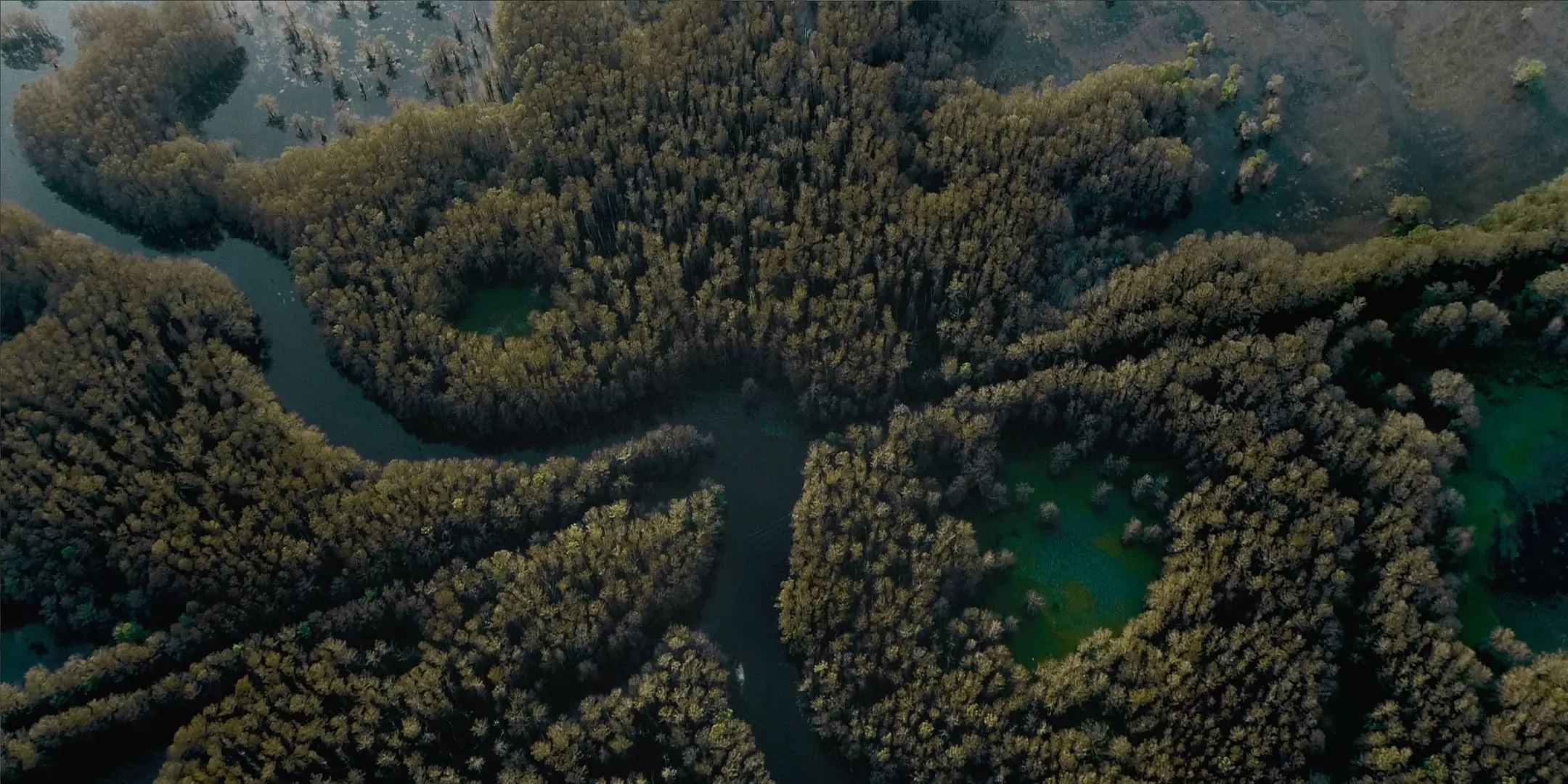 Фильм Озеро Каддо (2024). Кадр N245929