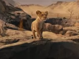Превью кадра #235921 из мультфильма "Муфаса: Король лев"  (2024)
