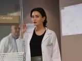 Кадры к сериалу "Бахар. По имени Весна"