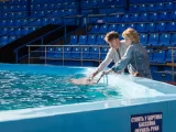 Превью кадра #239582 к фильму "Морячка" (2023)