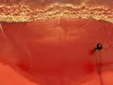 Кадры к фильму "Декодер. Игра гения"