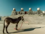 Превью кадра #245838 из фильма "Одна дома. Великолепная пятерка"  (2024)