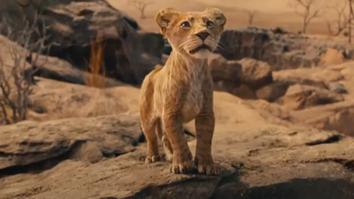 Кадр к фильму Муфаса: Король лев / Mufasa: The Lion King