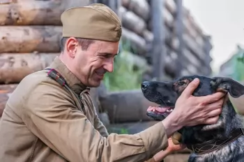 Начались съемки военной драмы "Солдат по кличе Рекс"