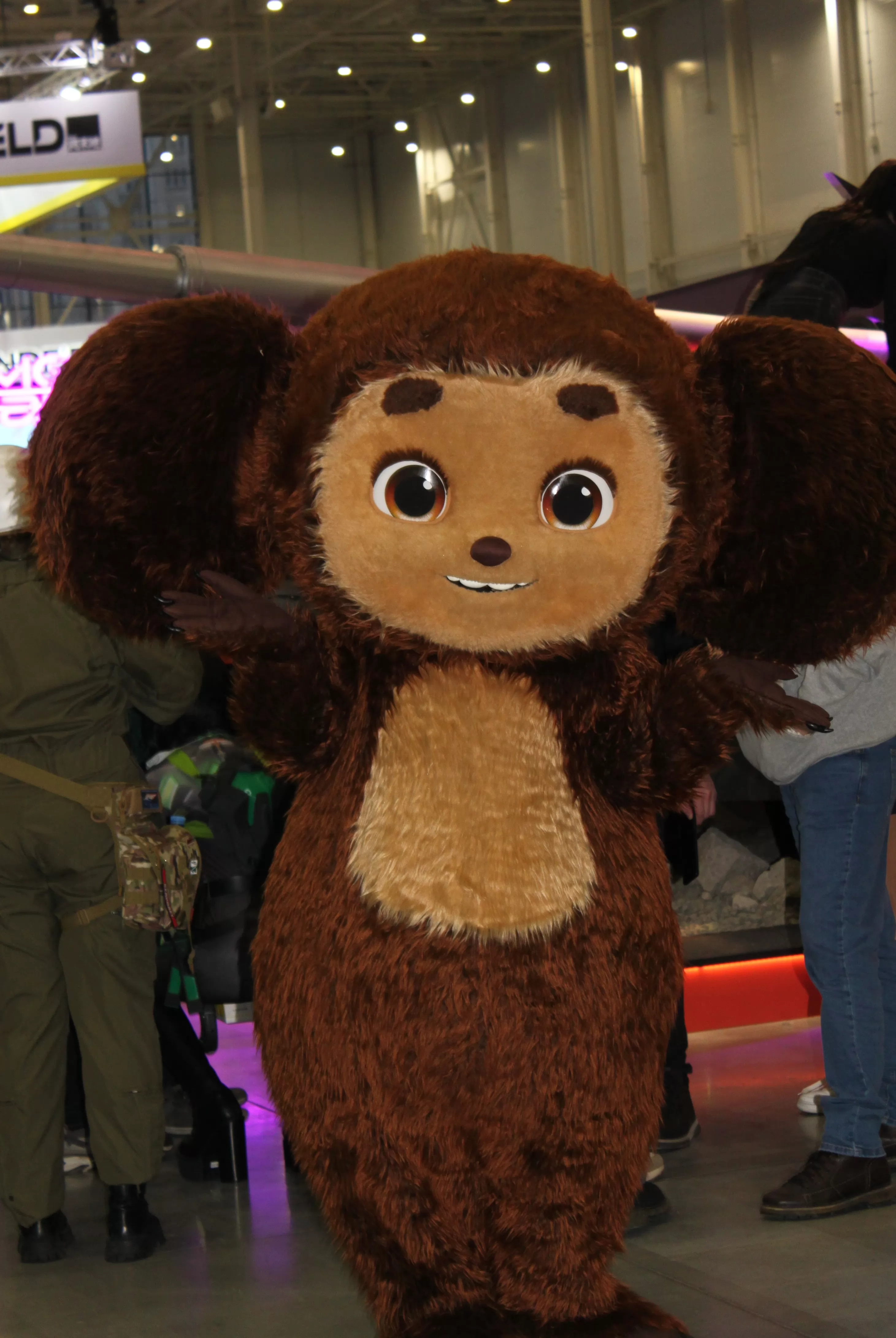 Фотография N 268043 из фотогалереи "Comic Con Игромир 2025. День второй"