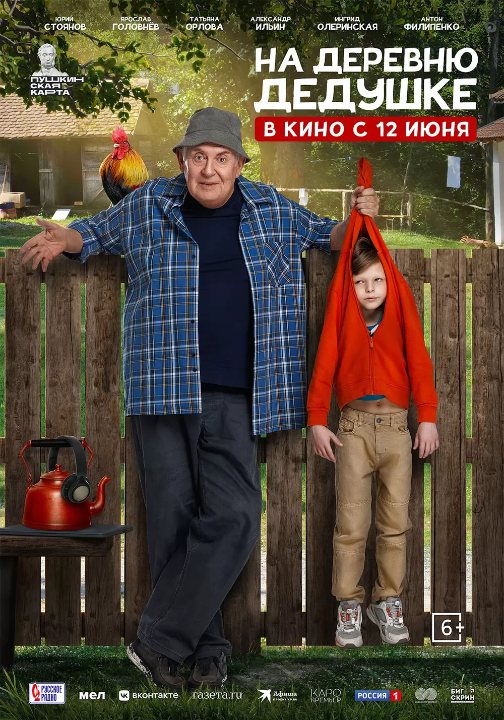 На деревню дедушке: постер N259115