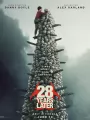 28 лет спустя